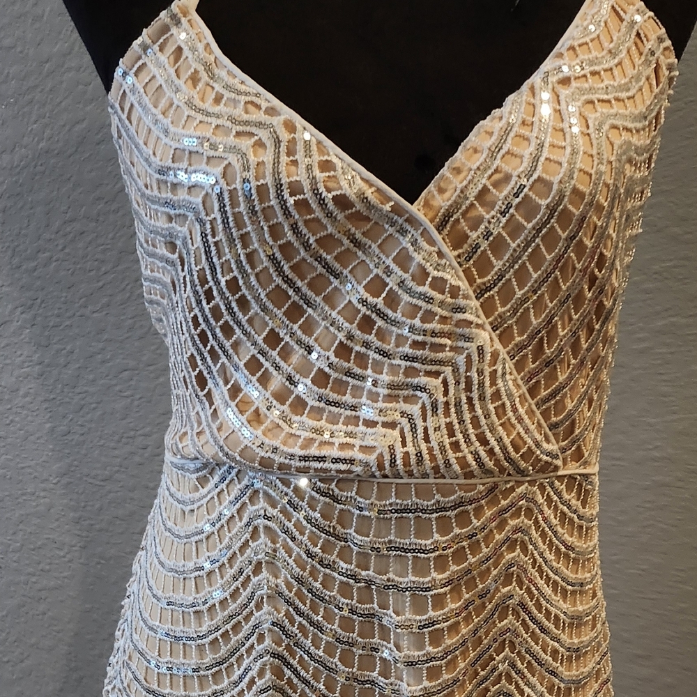 Elegant Cream Sequin Dress